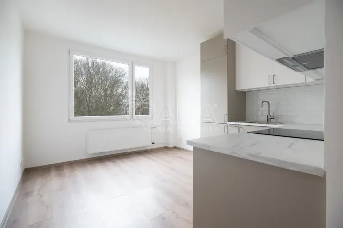 Pronájem bytu 2+kk, Děčín - Děčín VI-Letná, Školní, 43 m2