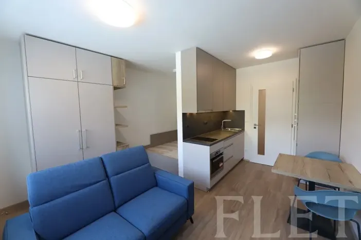 Pronájem bytu 1+kk, Praha - Holešovice, V háji, 30 m2