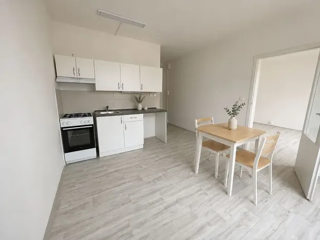 Pronájem bytu 1+1, Litvínov, Rooseveltova, 37 m2