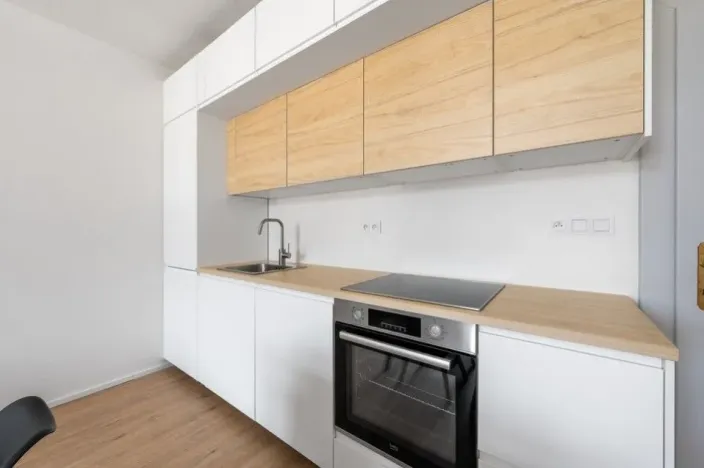 Pronájem bytu 1+kk, Praha - Karlín, Březinova, 38 m2
