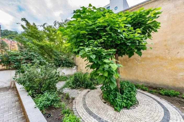 Pronájem bytu 1+kk, Praha - Karlín, Březinova, 38 m2