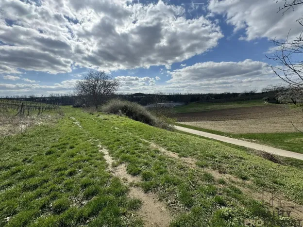 Prodej sadu/vinice, Mutěnice, 1540 m2