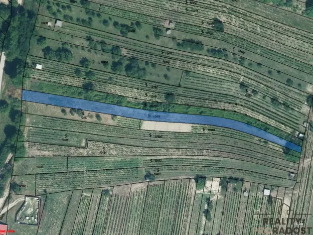 Prodej sadu/vinice, Mutěnice, 1540 m2
