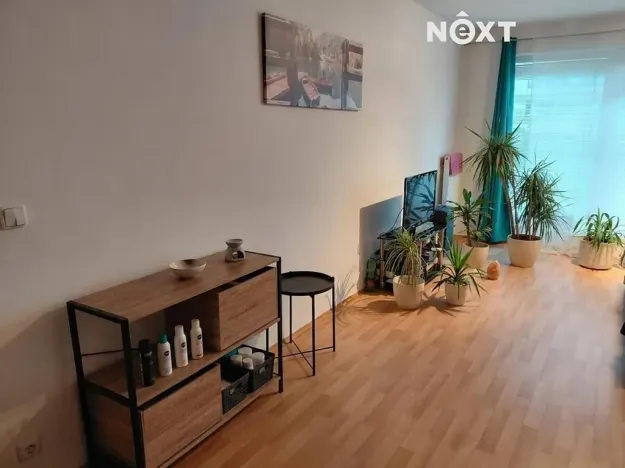 Pronájem bytu 1+kk, Pardubice, Bělehradská, 40 m2