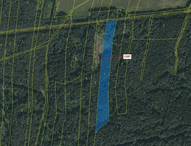 Dražba lesa, Nová Bystřice, 11125 m2