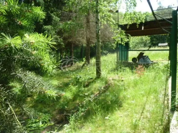 Pronájem zahrady, Praha - Hostivař, U Švehlova altánu, 4139 m2