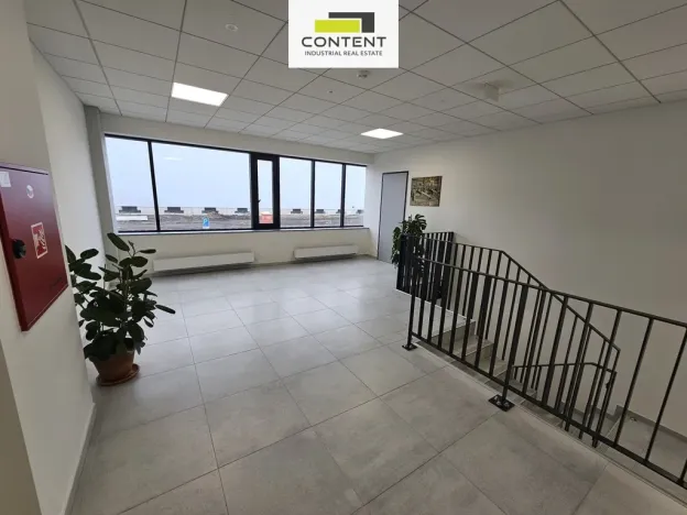 Pronájem výrobních prostor, Bor - Nová Hospoda, 32693 m2
