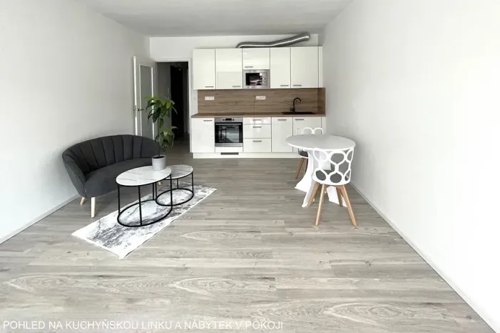 Pronájem bytu 1+kk, Brno, Střední, 45 m2