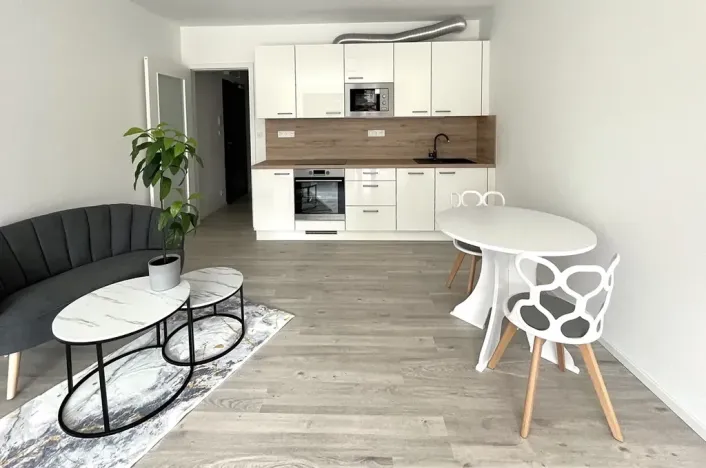 Pronájem bytu 1+kk, Brno, Střední, 45 m2
