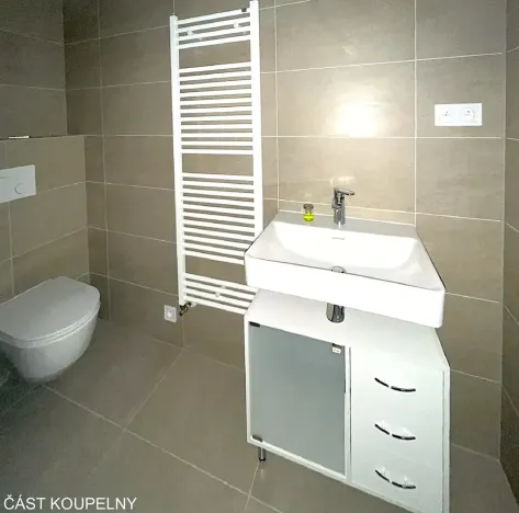 Pronájem bytu 1+kk, Brno, Střední, 45 m2