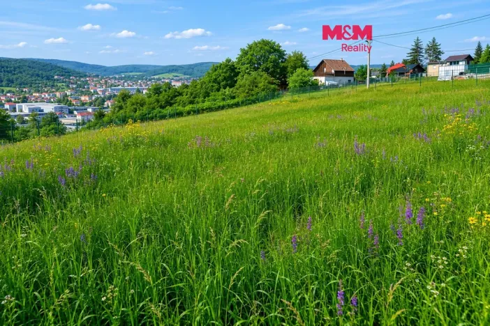 Prodej pozemku pro bydlení, Ústí nad Labem - Hostovice, 5240 m2