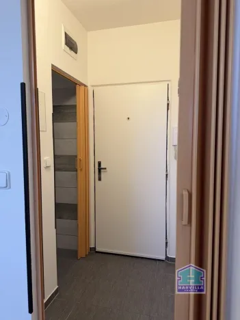 Pronájem bytu 1+kk, Plzeň - Lobzy, Těšínská, 20 m2