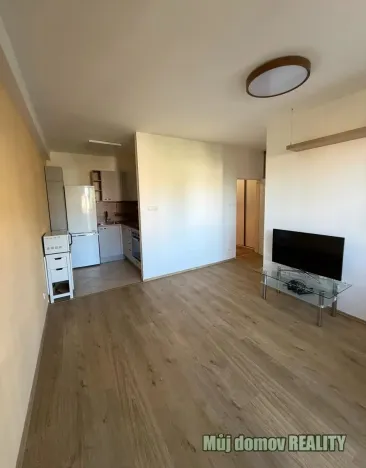 Pronájem bytu 2+kk, Praha - Podolí, Na vápenném, 38 m2