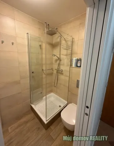 Pronájem bytu 2+kk, Praha - Podolí, Na vápenném, 38 m2