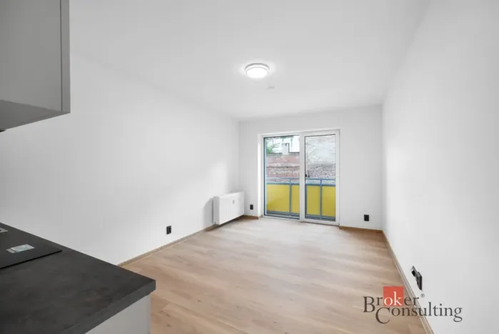 Pronájem bytu 1+kk, Brno - Zábrdovice, Bratislavská, 26 m2