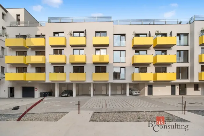 Pronájem bytu 1+kk, Brno - Zábrdovice, Bratislavská, 50 m2