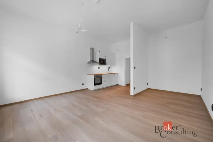 Pronájem bytu 1+kk, Brno - Zábrdovice, Bratislavská, 50 m2