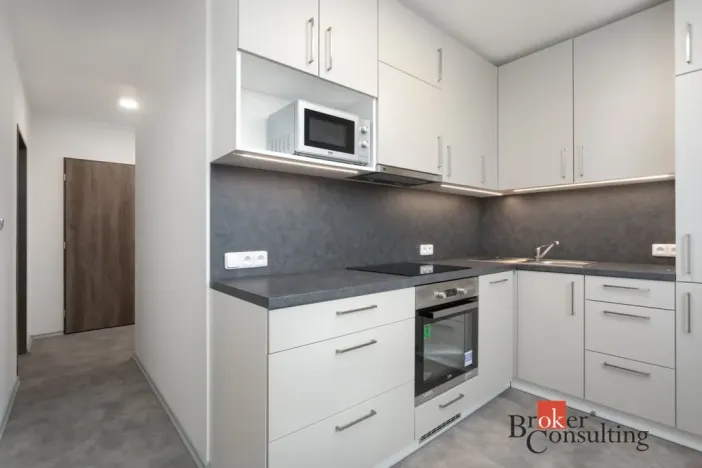 Pronájem bytu 2+1, Leskovec nad Moravicí, 56 m2
