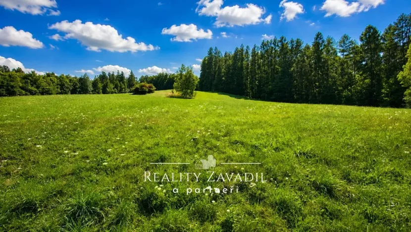 Prodej ubytování, Vysoká - Pitárné, 322 m2