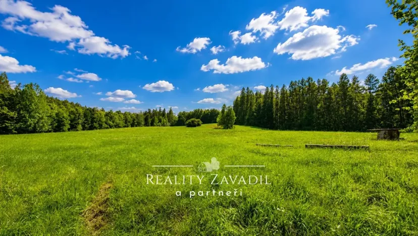 Prodej ubytování, Vysoká - Pitárné, 322 m2