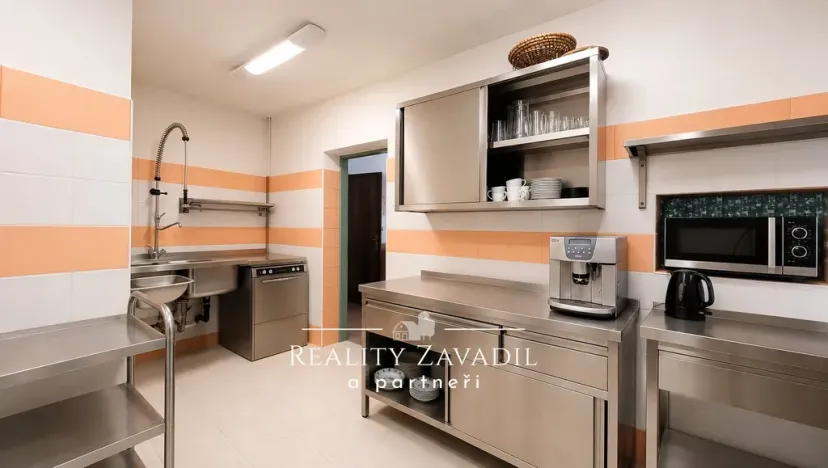 Prodej ubytování, Vysoká - Pitárné, 322 m2