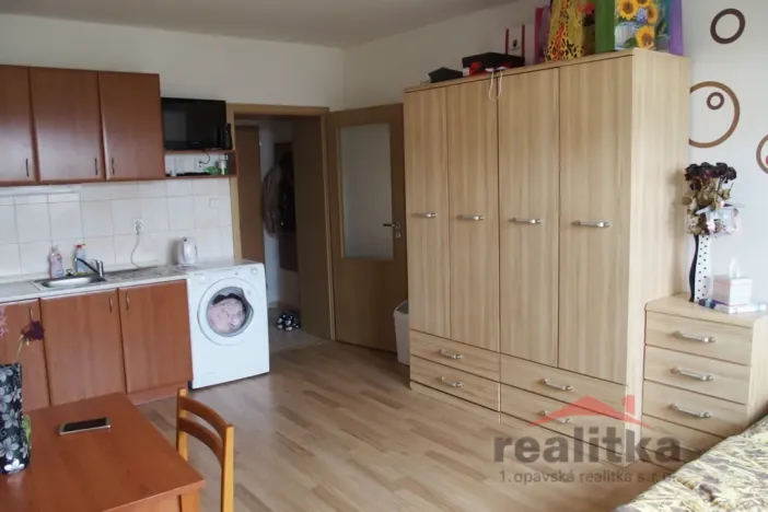 Pronájem bytu 1+kk, Opava - Předměstí, Olbrichova, 30 m2