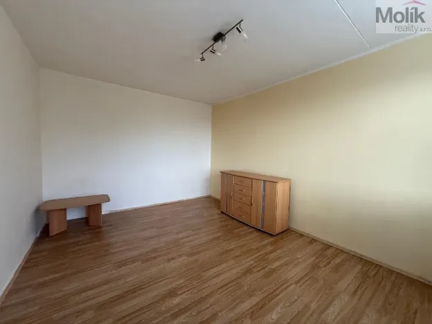 Pronájem bytu 1+1, Litvínov - Horní Litvínov, U Zámeckého parku, 35 m2