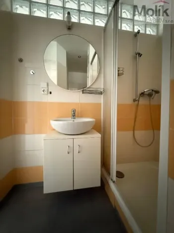 Pronájem bytu 1+1, Litvínov - Horní Litvínov, U Zámeckého parku, 35 m2
