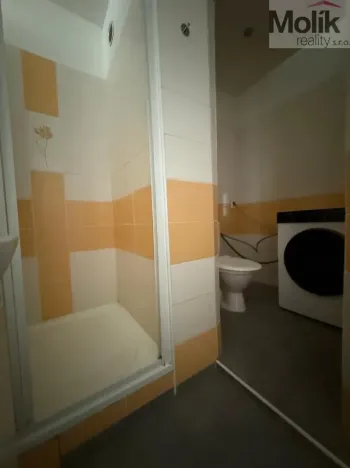 Pronájem bytu 1+1, Litvínov - Horní Litvínov, U Zámeckého parku, 35 m2