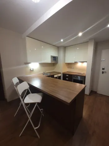 Pronájem bytu 2+kk, Plzeň - Jižní Předměstí, U Borského parku, 52 m2
