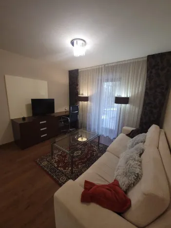 Pronájem bytu 2+kk, Plzeň - Jižní Předměstí, U Borského parku, 52 m2