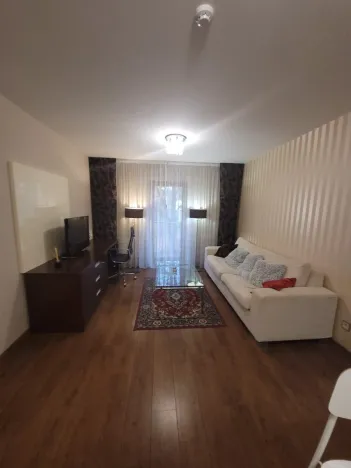 Pronájem bytu 2+kk, Plzeň - Jižní Předměstí, U Borského parku, 52 m2