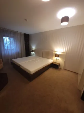 Pronájem bytu 2+kk, Plzeň - Jižní Předměstí, U Borského parku, 52 m2
