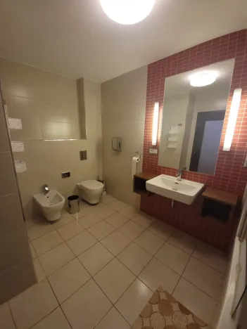 Pronájem bytu 2+kk, Plzeň - Jižní Předměstí, U Borského parku, 52 m2