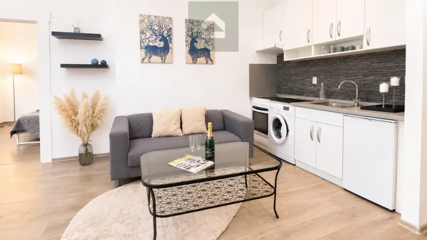 Pronájem bytu 2+kk, Plzeň, Guldenerova, 43 m2
