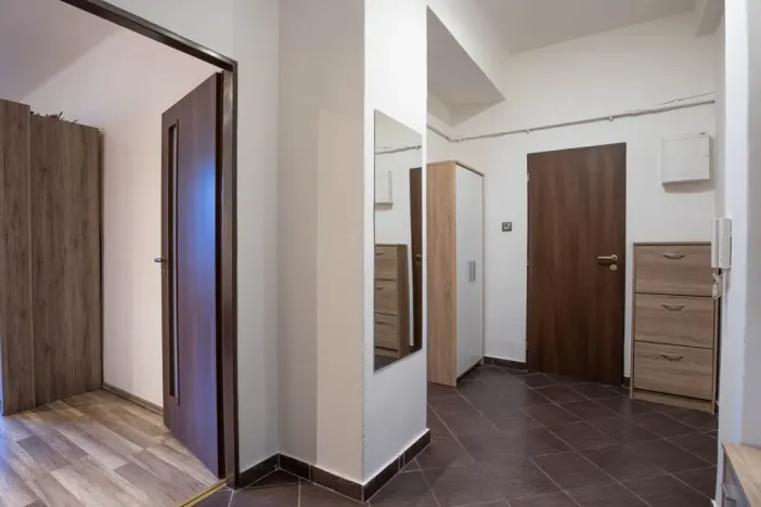 Prodej bytu 2+kk, Praha - Žižkov, Jana Želivského, 56 m2