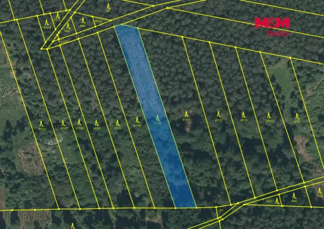 Prodej lesa, Slabčice - Písecká Smoleč, 48910 m2