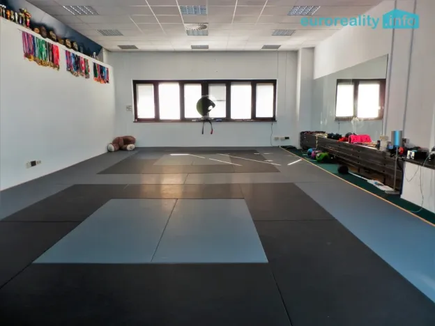 Pronájem komerční nemovitosti, Praha - Stodůlky, Mukařovského, 347 m2