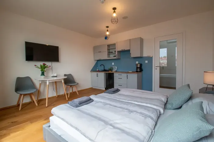 Pronájem bytu 1+kk, Praha - Vinohrady, Perucká, 27 m2