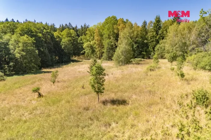 Prodej louky, Bezdružice - Řešín, 8235 m2
