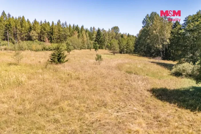 Prodej louky, Bezdružice - Řešín, 8235 m2