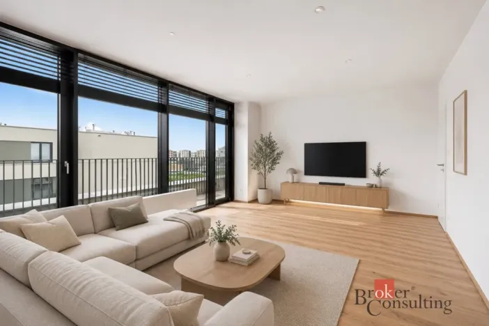 Pronájem bytu 2+kk, Plzeň - Jižní Předměstí, Železná, 62 m2
