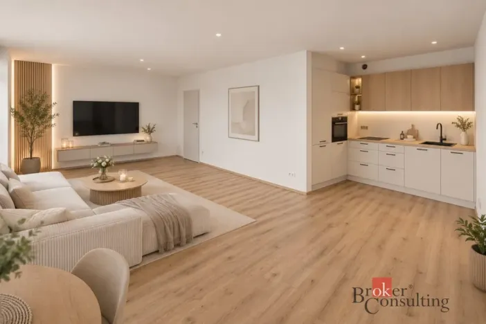 Pronájem bytu 2+kk, Plzeň - Jižní Předměstí, Železná, 62 m2
