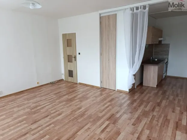 Prodej bytu 1+kk, Ústí nad Labem - Krásné Březno, V Oblouku, 32 m2