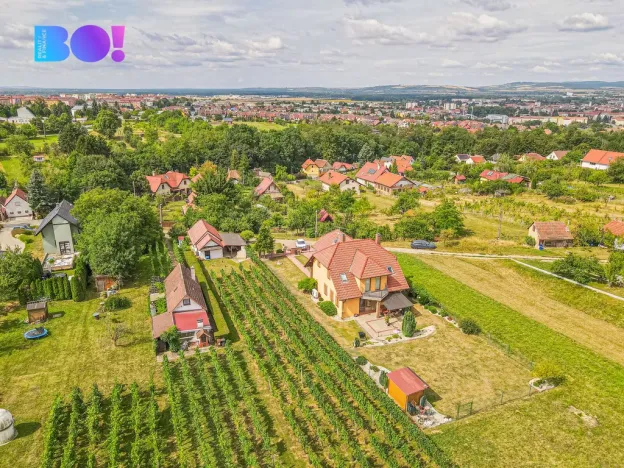 Prodej rodinného domu, Uherské Hradiště - Mařatice, Vinohradská, 206 m2