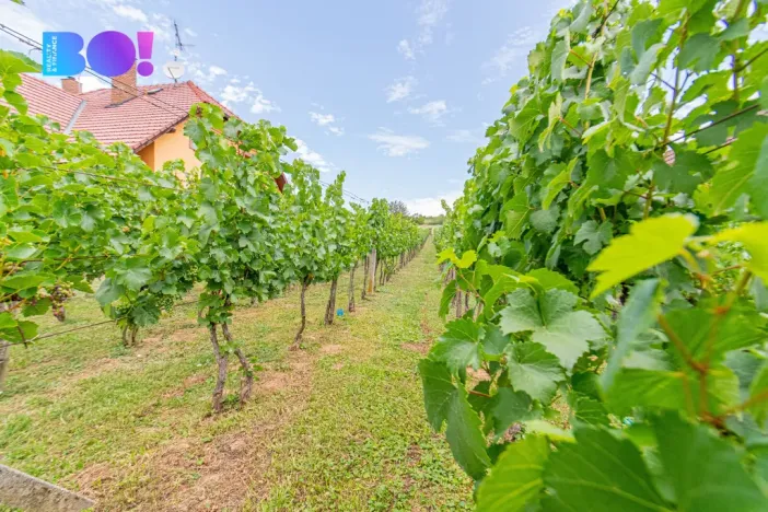 Prodej zemědělské usedlosti, Uherské Hradiště - Mařatice, Vinohradská, 80 m2