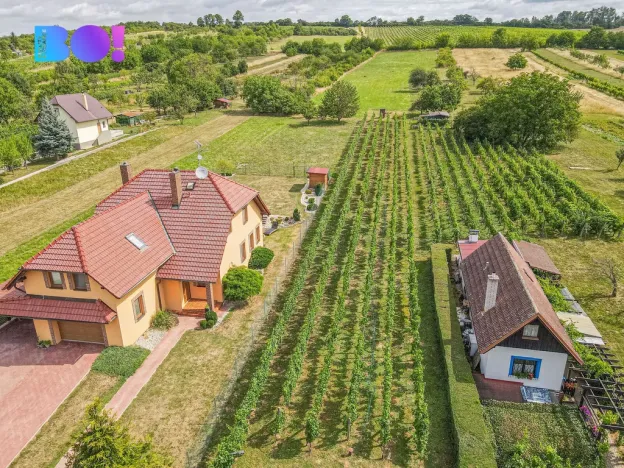 Prodej zemědělské usedlosti, Uherské Hradiště - Mařatice, Vinohradská, 80 m2