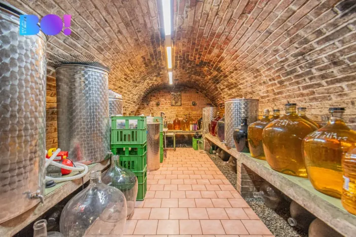 Prodej zemědělské usedlosti, Uherské Hradiště - Mařatice, Vinohradská, 80 m2