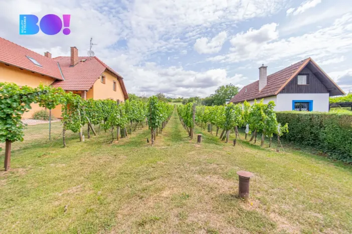 Prodej zemědělské usedlosti, Uherské Hradiště - Mařatice, Vinohradská, 80 m2