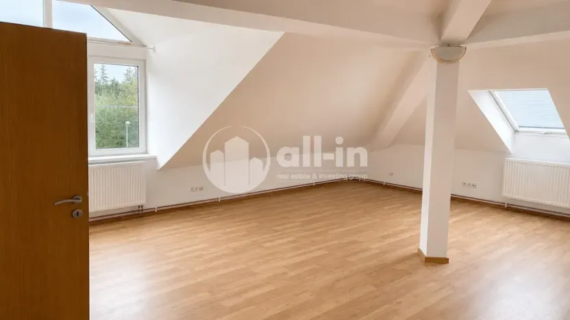 Pronájem bytu 3+1, Vyškov - Brňany, Palánek, 123 m2